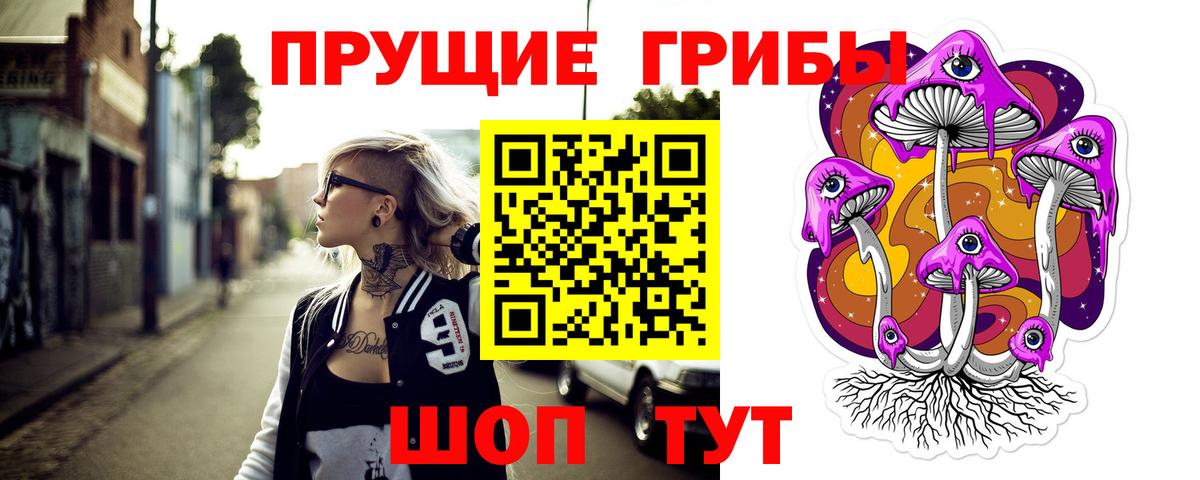 Богданович  Псилоцибиновые грибы мухоморы  Вход с VPN 
